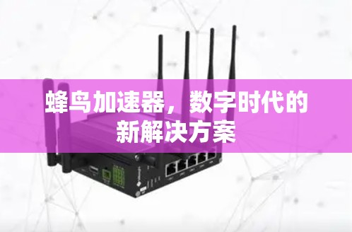 蜂鸟加速器，数字时代的新解决方案