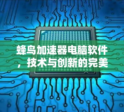 蜂鸟加速器电脑软件，技术与创新的完美结合