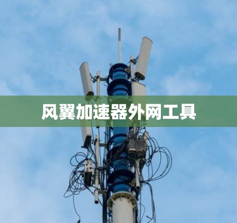 风翼加速器外网工具
