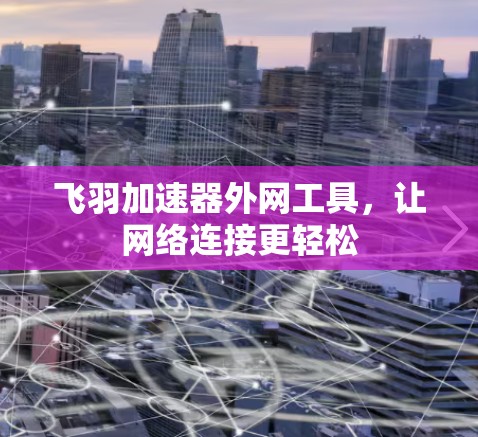 飞羽加速器外网工具，让网络连接更轻松