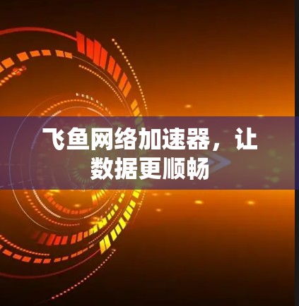 飞鱼网络加速器，让数据更顺畅