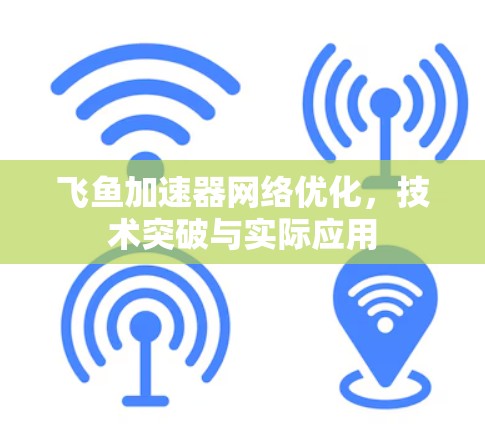 飞鱼加速器网络优化，技术突破与实际应用