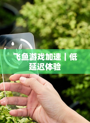 飞鱼游戏加速｜低延迟体验