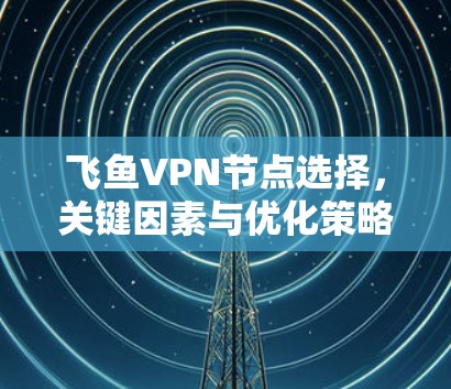 飞鱼VPN节点选择，关键因素与优化策略