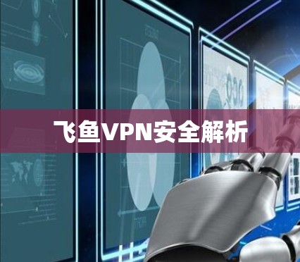 飞鱼VPN安全解析