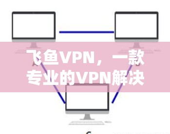 飞鱼VPN，一款专业的VPN解决方案