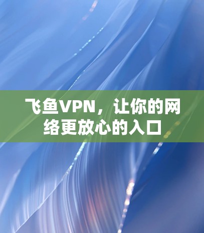 飞鱼VPN，让你的网络更放心的入口