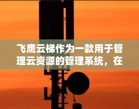 飞鹰云梯作为一款用于管理云资源的管理系统，在移动端的使用情况主要体现在以下几个方面