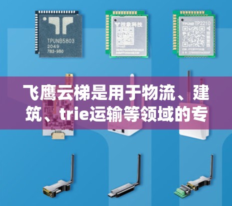 飞鹰云梯是用于物流、建筑、trie运输等领域的专用设备，通常指的是用于云梯运输的设备或系统。如果您指的是飞鹰云梯在海外的网络服务或配置，以下是一些可能的解答
