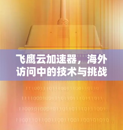 飞鹰云加速器，海外访问中的技术与挑战
