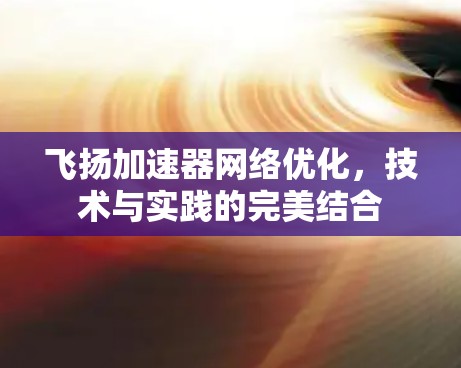 飞扬加速器网络优化，技术与实践的完美结合