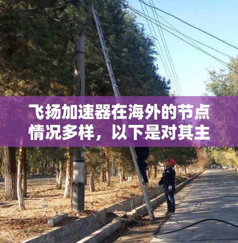 飞扬加速器在海外的节点情况多样，以下是对其主要节点的详细分析
