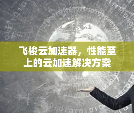 飞梭云加速器，性能至上的云加速解决方案