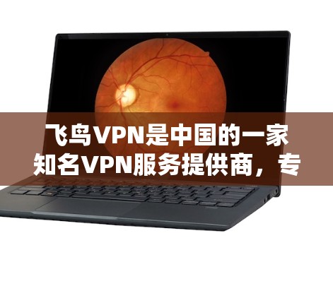 飞鸟VPN是中国的一家知名VPN服务提供商，专注于提供安全、可靠的VPN服务。关于飞鸟VPN的稳定性和测试情况，我们可以参考其官方网站或相关第三方评估机构的报告