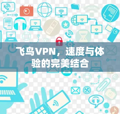 飞鸟VPN，速度与体验的完美结合