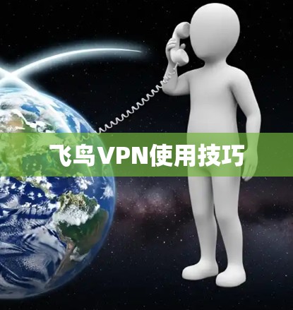 飞鸟VPN使用技巧