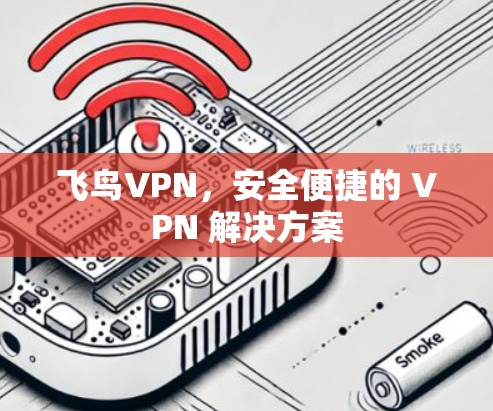 飞鸟VPN，安全便捷的 VPN 解决方案