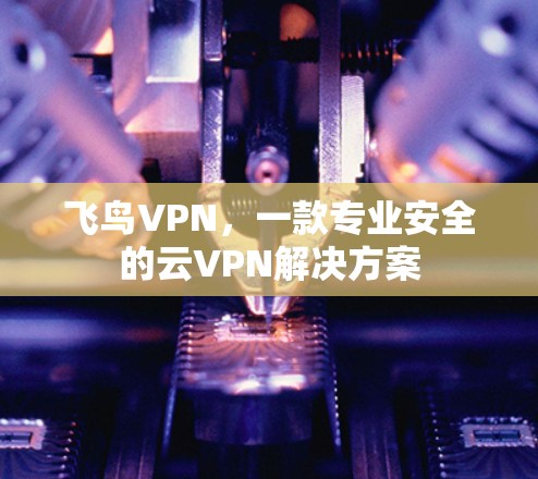 飞鸟VPN，一款专业安全的云VPN解决方案
