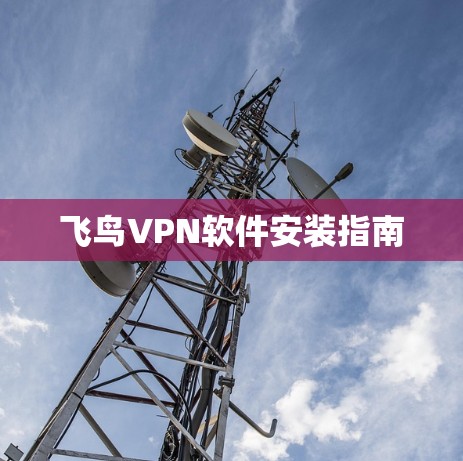 飞鸟VPN软件安装指南