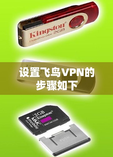 设置飞鸟VPN的步骤如下