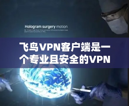 飞鸟VPN客户端是一个专业且安全的VPN服务，深受用户喜爱。以下是对该服务的详细介绍