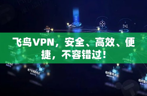 飞鸟VPN，安全、高效、便捷，不容错过！