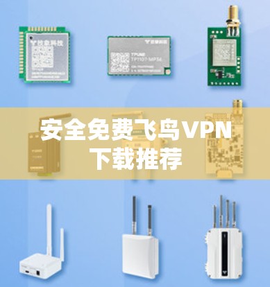 安全免费飞鸟VPN下载推荐