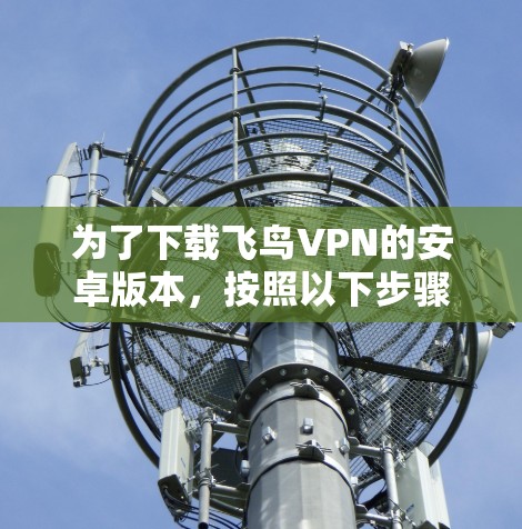 为了下载飞鸟VPN的安卓版本，按照以下步骤操作