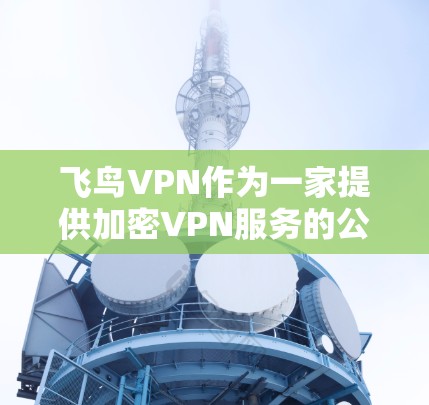 飞鸟VPN作为一家提供加密VPN服务的公司，以其强大的功能和安全措施在加密服务领域占据优势地位。以下是对飞鸟VPN功能的详细评估