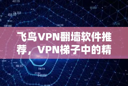 飞鸟VPN翻墙软件推荐，VPN梯子中的精彩纷呈