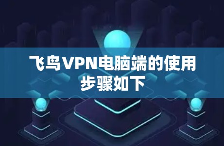 飞鸟VPN电脑端的使用步骤如下