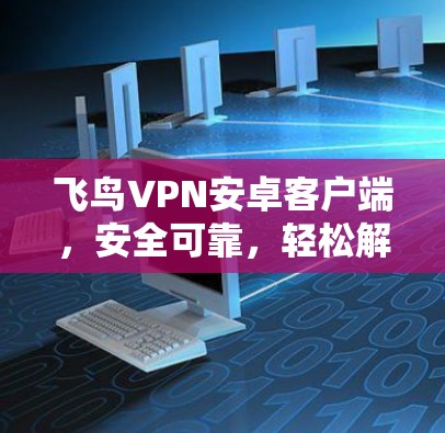 飞鸟VPN安卓客户端，安全可靠，轻松解码