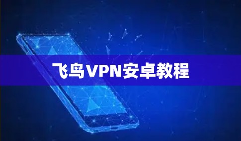 飞鸟VPN安卓教程