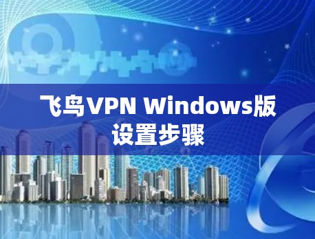 飞鸟VPN Windows版设置步骤