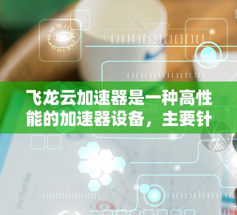 飞龙云加速器是一种高性能的加速器设备，主要针对企业级服务器、内部数据传输、数据存储、内部网络优化和应用加速等场景。以下是其详细介绍