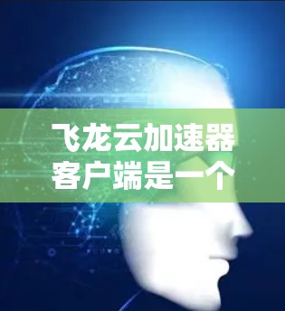 飞龙云加速器客户端是一个功能全面的加速工具，适合处理网页和视频的加速需求。以下是对该工具的详细总结