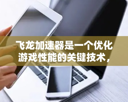 飞龙加速器是一个优化游戏性能的关键技术，其线路结构包括显卡、CPU、内存、存储和网络等部分。以下是对飞龙加速器线路的详细分析和配置指南