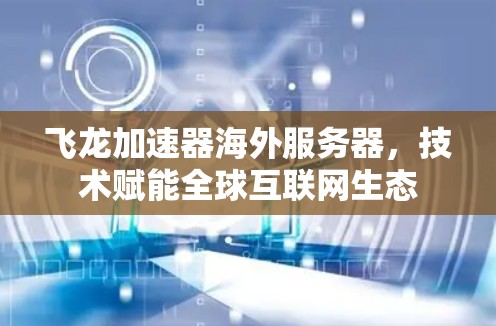飞龙加速器海外服务器，技术赋能全球互联网生态