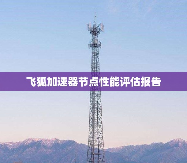 飞狐加速器节点性能评估报告