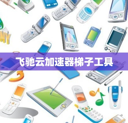 飞驰云加速器梯子工具