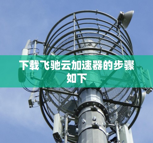 下载飞驰云加速器的步骤如下