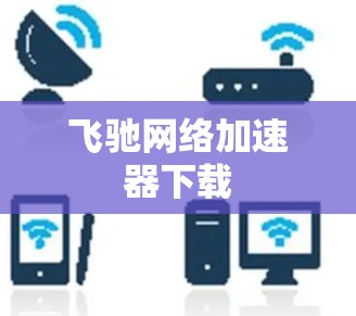 飞驰网络加速器下载
