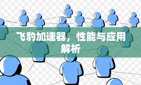 飞豹加速器，性能与应用解析