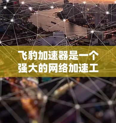 飞豹加速器是一个强大的网络加速工具，支持用户快速访问互联网。以下是一些步骤和注意事项，帮助您使用飞豹加速器访问外部网络