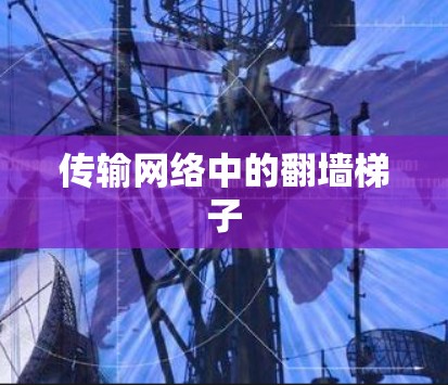 传输网络中的翻墙梯子