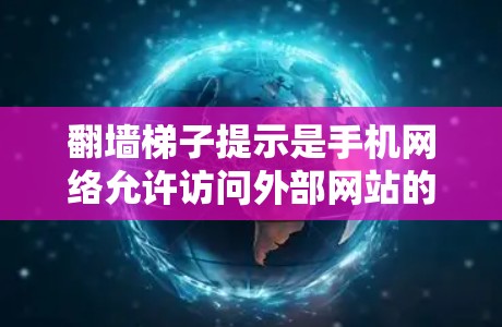翻墙梯子提示是手机网络允许访问外部网站的权限问题。解决方法包括