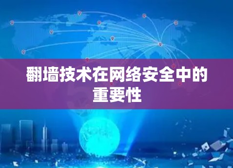 翻墙技术在网络安全中的重要性