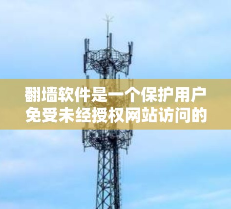 翻墙软件是一个保护用户免受未经授权网站访问的工具，主要为非法网站提供便利。以下是对翻墙软件的综合评价和使用建议
