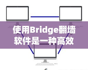 使用Bridge翻墙软件是一种高效且便捷的翻译工具，特别适合需要快速翻译和处理语言障碍者。以下是使用该工具的详细步骤