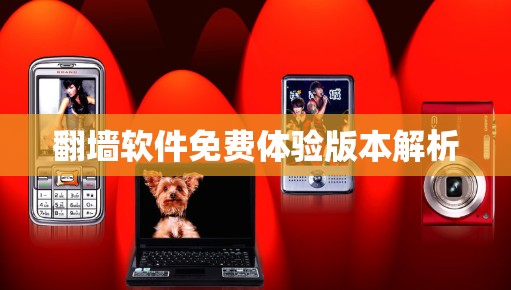翻墙软件免费体验版本解析